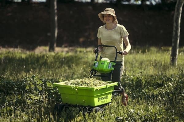 Greenworks G40GC, Motordriven skottkärra, 3 hjul, Fasta hjul, Svart, Grön, 100 kg, 550 mm