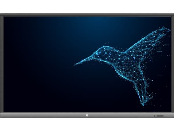 Avtek TouchScreen 5 Lite 55, touch screen monitor 55", 4K 3840 x 2160 pixels