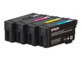 Pikkukuva 4 / 5: Epson SureColor SC-T5100N - 36" suurkuvatulostin - väri - mustesuihku - rulla (91,4 cm) - 2400 x 1200 dpi - Gigabit LAN, Wi-Fi(n), USB 3.0 - leikkuri