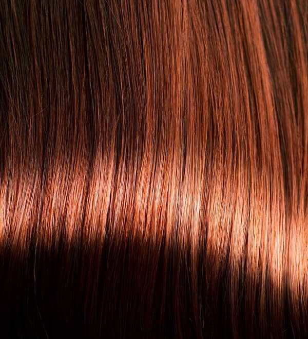 Fake Hair/Wig - Long Curly Hair - Light/Dark Brown