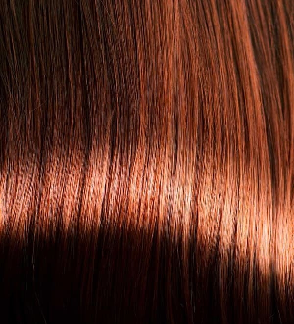 Fake Hair/Wig - Long Curly Hair - Light/Dark Brown
