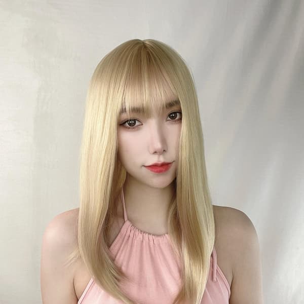 Hair Extension/Wig - Long Straight - Light/Dark Brown