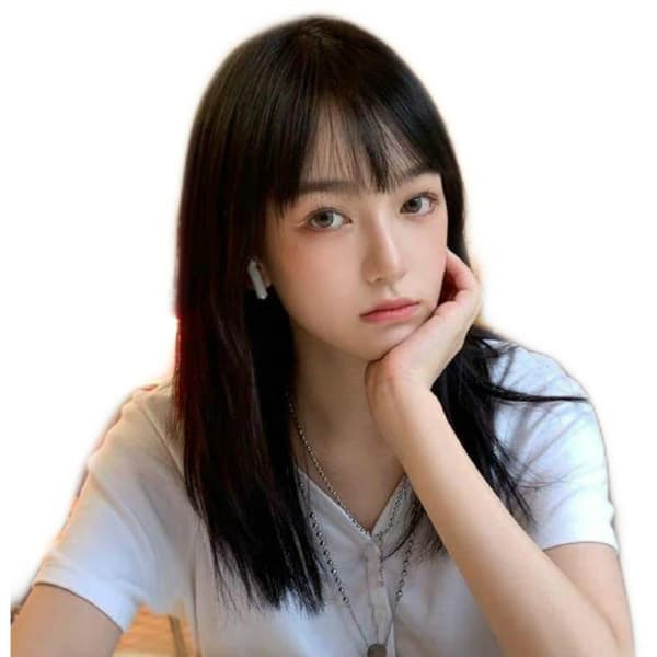 Hair Extension/Wig - Long Straight - Light/Dark Brown