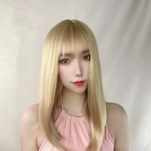 Hair Extension/Wig - Long Straight - Light/Dark Brown