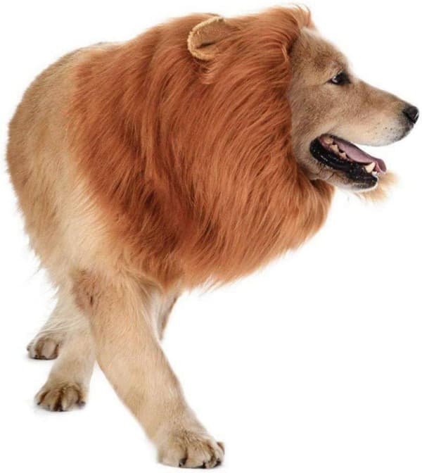 Lion Mane Peruk, Pet Dog Peruk Rolig Lion Huvudbonad Hund Cosplay Lion Mane Kostymer Husdjurstillbehör för fester Festivaler (S-Röd Brun)