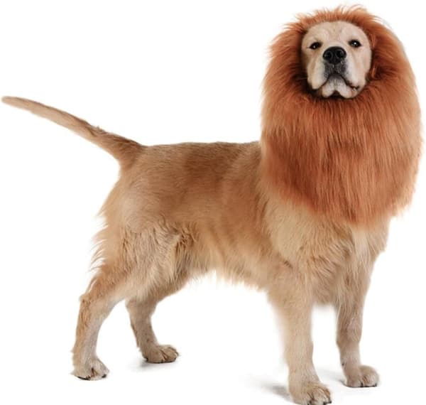 Lion Mane Peruk, Pet Dog Peruk Rolig Lion Huvudbonad Hund Cosplay Lion Mane Kostymer Husdjurstillbehör för fester Festivaler (S-Röd Brun)