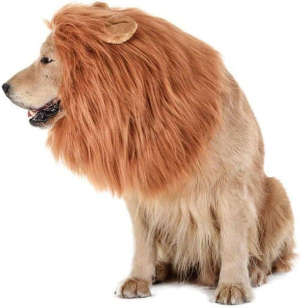Lion Mane Peruk, Pet Dog Peruk Rolig Lion Huvudbonad Hund Cosplay Lion Mane Kostymer Husdjurstillbehör för fester Festivaler (S-Röd Brun)