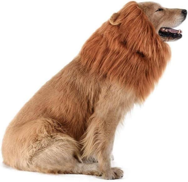 Lion Mane Peruk, Pet Dog Peruk Rolig Lion Huvudbonad Hund Cosplay Lion Mane Kostymer Husdjurstillbehör för fester Festivaler (S-Röd Brun)