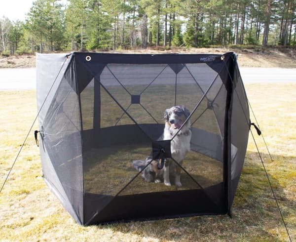 Wecamp Vindskjerm Popup Screen 300x118 cm