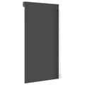 Miniatyrbilde 6 av 6: vidaXL Rulleskodde aluminium 110x220 cm antrasitt