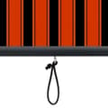 Pikkukuva 7 / 8: vidaXL Ulkorullaverho 170x250 cm oranssi ja ruskea