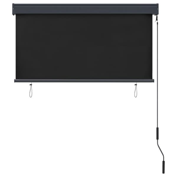 vidaXL udendørs rullegardin 120x250 cm antracitgrå