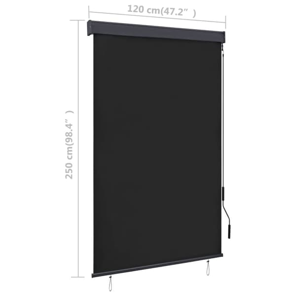 vidaXL udendørs rullegardin 120x250 cm antracitgrå