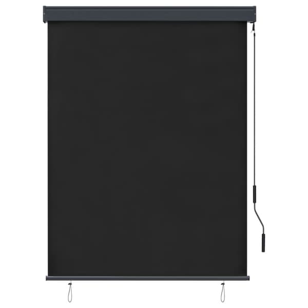 vidaXL udendørs rullegardin 120x250 cm antracitgrå