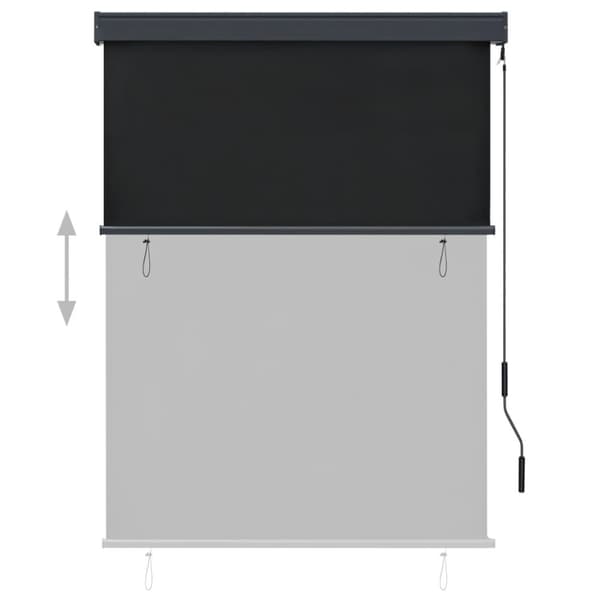 vidaXL Rullgardin utomhus 120x250 cm antracit