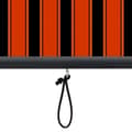 Miniatyrbild 7 av 8: vidaXL Rullgardin utomhus 100x250 cm orange och brun