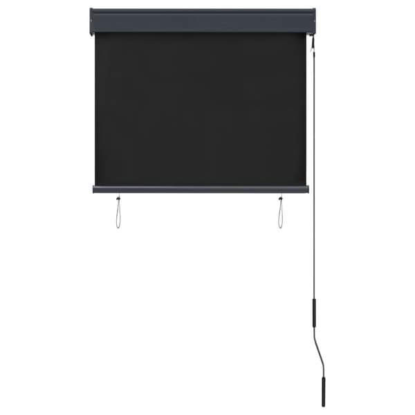vidaXL Rullgardin utomhus 80x250 cm antracit
