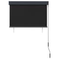 Pikkukuva 4 / 8: vidaXL Ulkorullaverho 100x250 cm antrasiitti