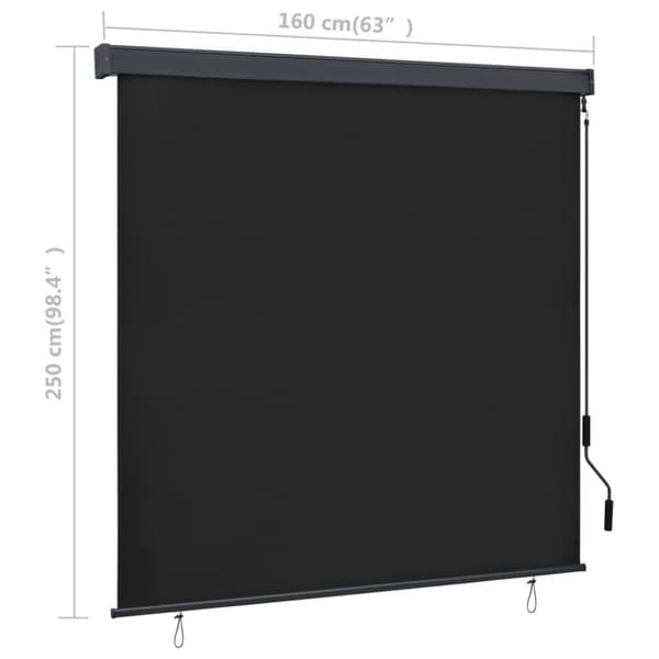 vidaXL udendørs rullegardin 160x250 cm antracitgrå