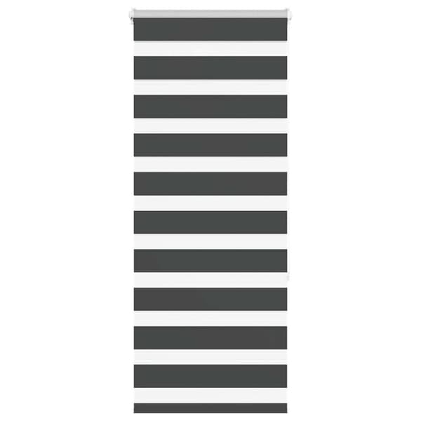 Rullgardin zebra svart 60x150 cm tyg bredd 55,9 cm polyester