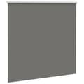 Pikkukuva 4 / 11: vidaXL Rullaverho Blackout harmaa 155x130 cm Kankaan leveys 151,6 cm