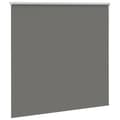 Miniatyrbild 4 av 11: vidaXL Rullgardin mörkläggning grå 160x150 cm tyg bredd 156,6 cm
