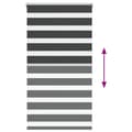 Miniatyrbillede 5 af 11: vidaXL zebragardin sort 80x100 cm stofbredde 75,9 cm polyester