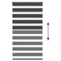 Miniatyrbillede 5 af 11: vidaXL zebragardin sort 70x150 cm stofbredde 65,9 cm polyester
