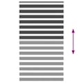 Miniatyrbild 5 av 11: vidaXL Rullgardin zebra svart 125x230 cm tyg bredd 120,9 cm polyester