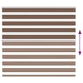 Miniatyrbild 5 av 11: vidaXL Rullgardin zebra brun 165x100 cm tyg bredd 160,9 cm polyester