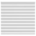Pikkukuva 1 / 11: vidaXL Seepra rullaverho 165x150 cm kankaan leveys 160,9 cm polyesteri