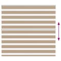 Miniatyrbild 5 av 11: vidaXL Rullgardin zebra 155x100 cm tyg bredd 150,9 cm polyester