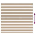 Miniatyrbillede 5 af 11: vidaXL zebragardin sandbrun 160x100 cm stofbredde 155,9 cm polyester