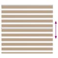 Miniatyrbild 5 av 11: vidaXL Rullgardin zebra 165x100 cm tyg bredd 160,9 cm polyester