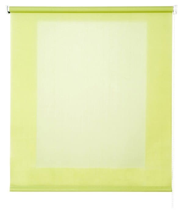 Fönster rullgardin Estores basic - 11411 - Rullgardin Basic genomskinlig, Färg Lime 75x6x175 cm citron gröna