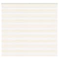 Miniatyrbild 1 av 2: Rullgardin zebra 165x100 cm tyg bredd 160,9 cm polyester