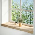 Miniatyrbild 2 av 10: vidaXL Fönsterbänkar 2 st obehandlad 70x30x2 cm massiv ek