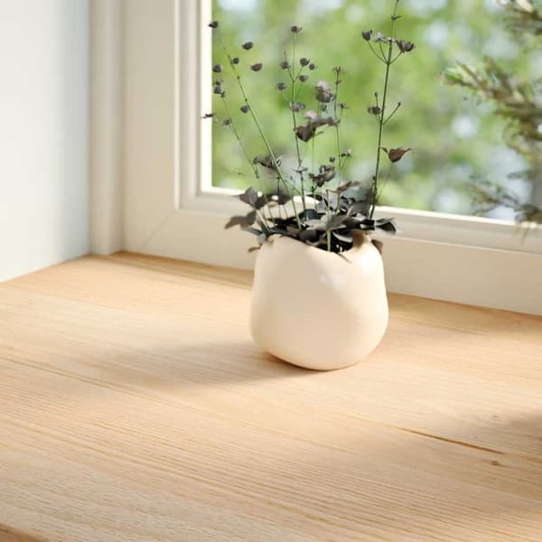 vidaXL Fönsterbänkar 2 st obehandlad 90x25x2 cm massiv ek
