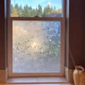 Pikkukuva 8 / 9: Lollanda Window Film – 3D-kasviaihe värillisellä lasiefektillä, koristeellinen ja yksityisyyttä suojaava ikkunatarra
