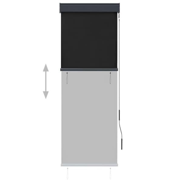 vidaXL Utendørs rullegardin 60x250 cm antrasitt