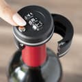 Miniatyrbillede 3 af 11: Hængelås til vinflasker Botlock InnovaGoods