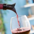 Miniatyrbilde 3 av 10: 2-i-1 Vinlufter- og helletut Wintopp InnovaGoods