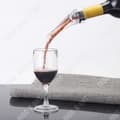 Miniatyrbild 4 av 4: TD® Aerator Pourer / Vinkaraff/ Transparent och Svart / Plast och Vinyl/