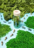 Miniatyrbild 4 av 5: Parti med 3 sensoriska flaskor, Nature