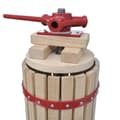 Miniatyrbild 4 av 10: vidaXL Frukt- och vinpress set 2 delar