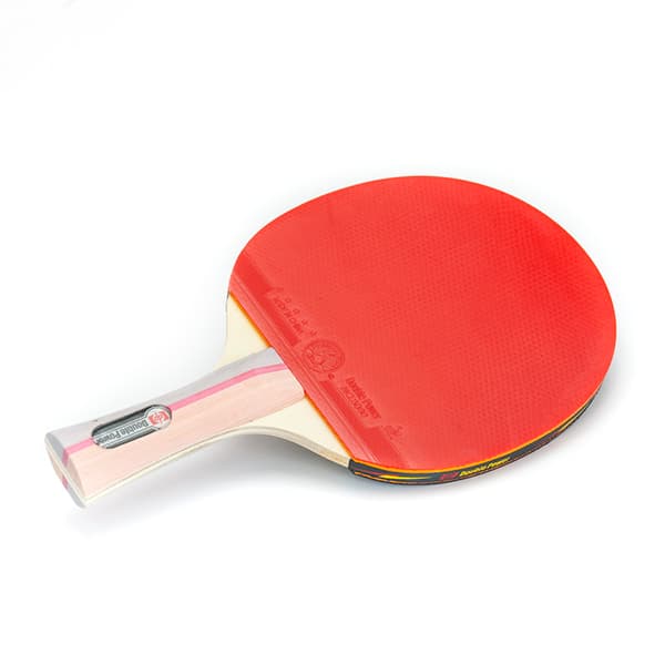 DUBBEL POWER 3-STJÄRNIG BORDTENNISRACGET