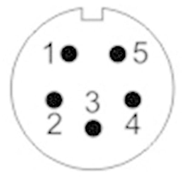 Weipu SF1212/S5 Rundkontakt Koppling rak Totalt antal poler: 5 Serie (rundkontakt): SF12 1 st