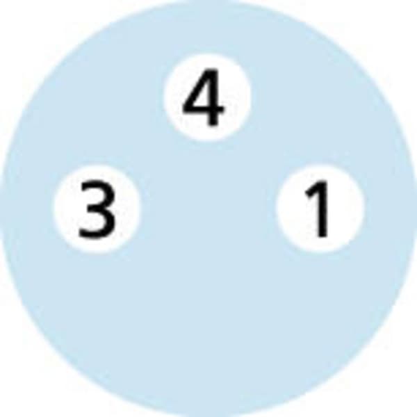 Escha 8044002 Sensor/ställdon-kontakt, konfektionerad M8 Kontakt hane rak, Hona rak 2.00 m Antal poler (RJ): 3 1 st
