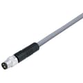 Miniatyrbild 2 av 2: binder 77 3405 0000 20005-0500 Sensor/ställdon-kontakt, okonfektionerad M8 Kontakt hane rak 1 st