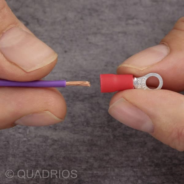 Quadrios 22C442 Ringkabelsko Tvärsnitt (max.)=1.5 mm² Hål-Ø=5.3 mm Delisolerad Röd 1 set